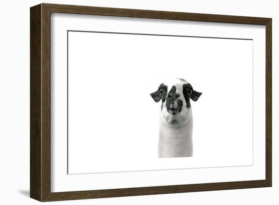 Lovable Llama II-Laura Marshall-Framed Art Print