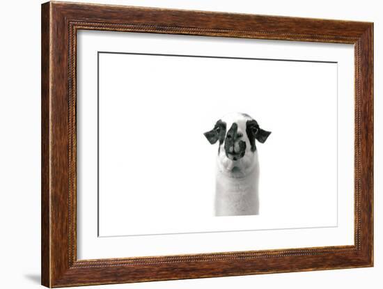 Lovable Llama II-Laura Marshall-Framed Art Print