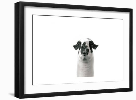 Lovable Llama II-Laura Marshall-Framed Art Print