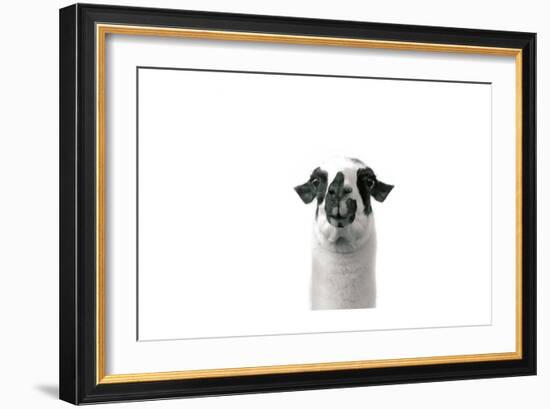 Lovable Llama II-Laura Marshall-Framed Art Print