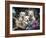 Lovable Westies-Jenny Newland-Framed Giclee Print