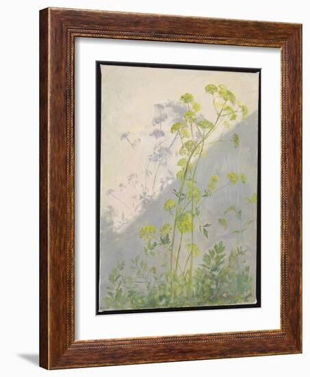 Lovage against Diagonal Shadows, 1999 (Oil on Canvas)-Timothy Easton-Framed Giclee Print