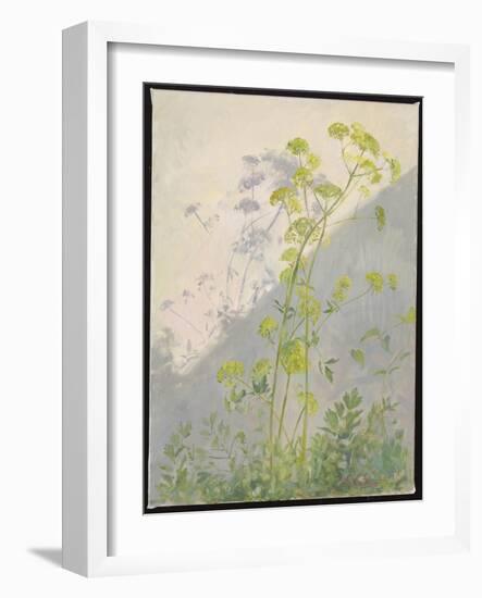 Lovage against Diagonal Shadows, 1999 (Oil on Canvas)-Timothy Easton-Framed Giclee Print