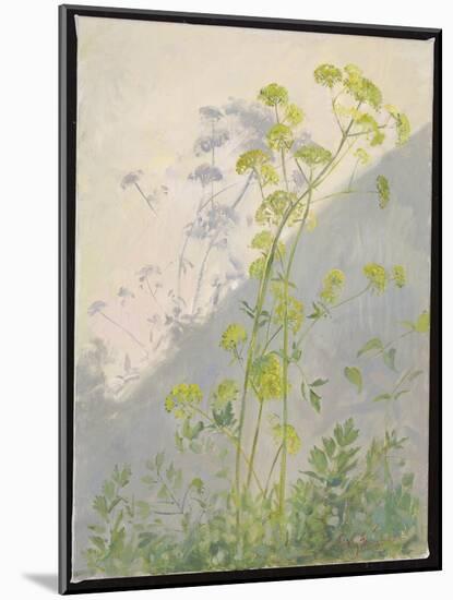Lovage against Diagonal Shadows, 1999 (Oil on Canvas)-Timothy Easton-Mounted Giclee Print