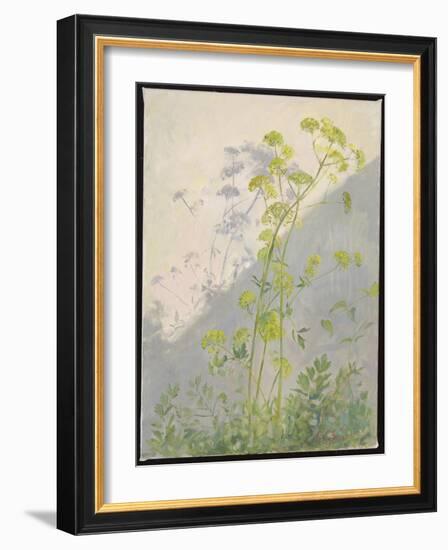 Lovage against Diagonal Shadows, 1999 (Oil on Canvas)-Timothy Easton-Framed Giclee Print