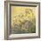 Lovage, Clematis and Shadows, 1999-Timothy Easton-Framed Giclee Print