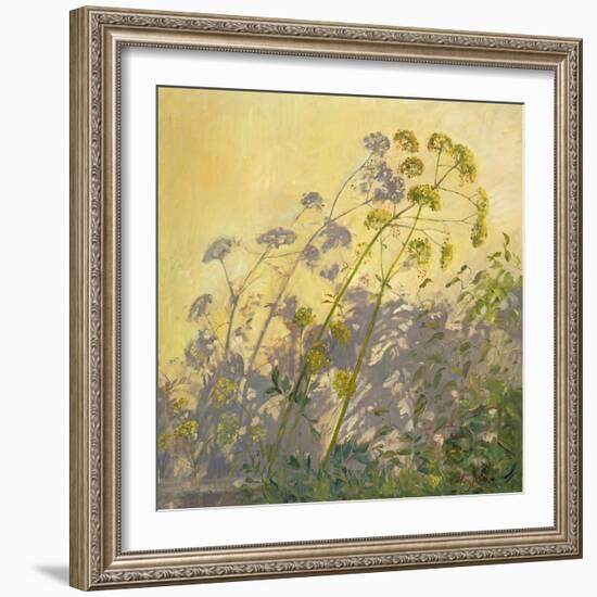 Lovage, Clematis and Shadows, 1999-Timothy Easton-Framed Giclee Print