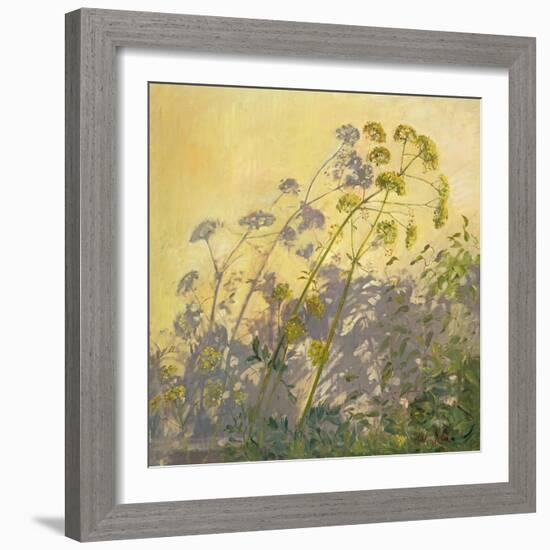 Lovage, Clematis and Shadows, 1999-Timothy Easton-Framed Giclee Print