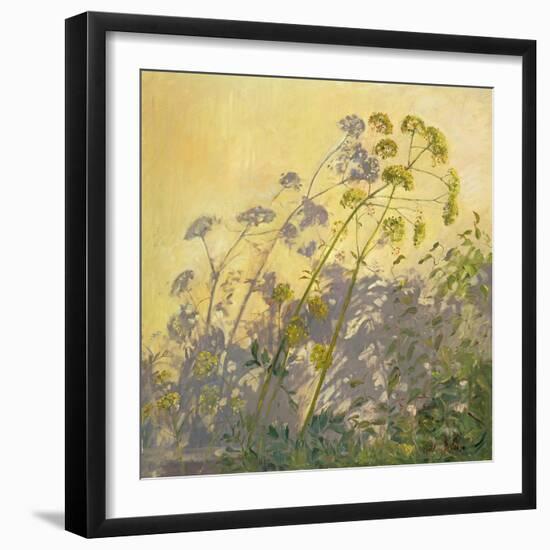 Lovage, Clematis and Shadows, 1999-Timothy Easton-Framed Giclee Print