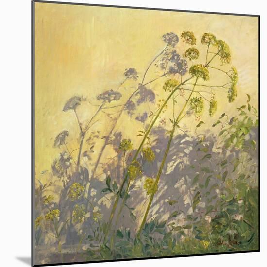 Lovage, Clematis and Shadows, 1999-Timothy Easton-Mounted Giclee Print