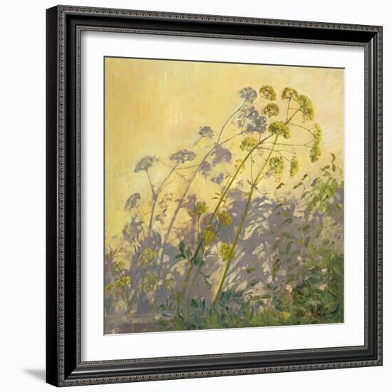 Lovage, Clematis and Shadows, 1999-Timothy Easton-Framed Giclee Print