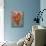 Love Birds Heart-Jill Mayberg-Mounted Giclee Print displayed on a wall