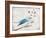 Love Birds I Joy-Courtney Prahl-Framed Art Print