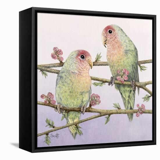 Love Birds-Pat Scott-Framed Premier Image Canvas