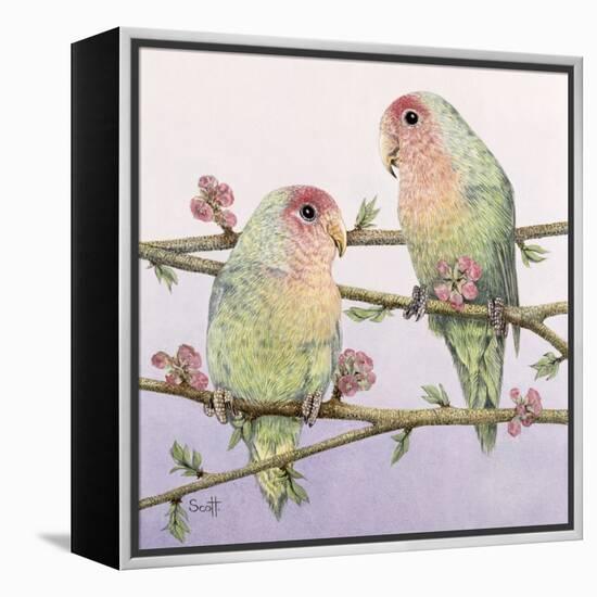 Love Birds-Pat Scott-Framed Premier Image Canvas