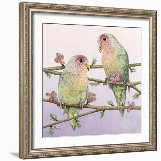 Love Birds-Pat Scott-Framed Giclee Print