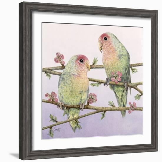 Love Birds-Pat Scott-Framed Giclee Print