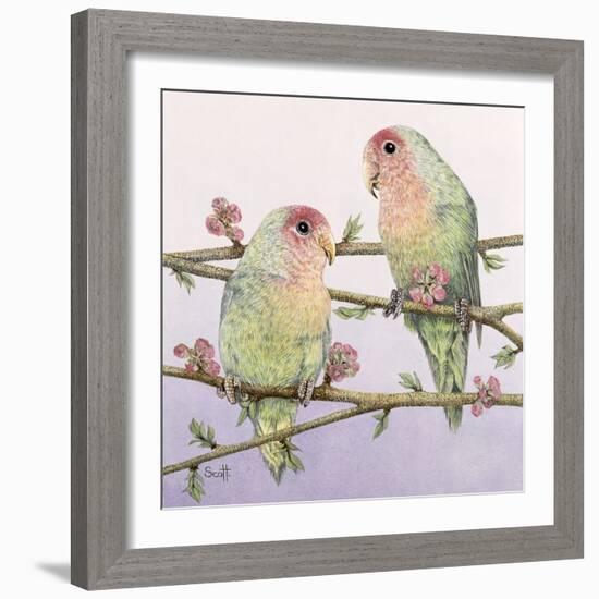 Love Birds-Pat Scott-Framed Giclee Print