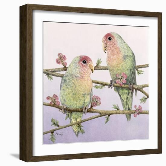 Love Birds-Pat Scott-Framed Giclee Print