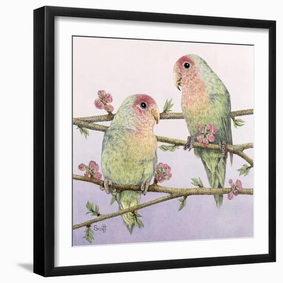 Love Birds-Pat Scott-Framed Giclee Print