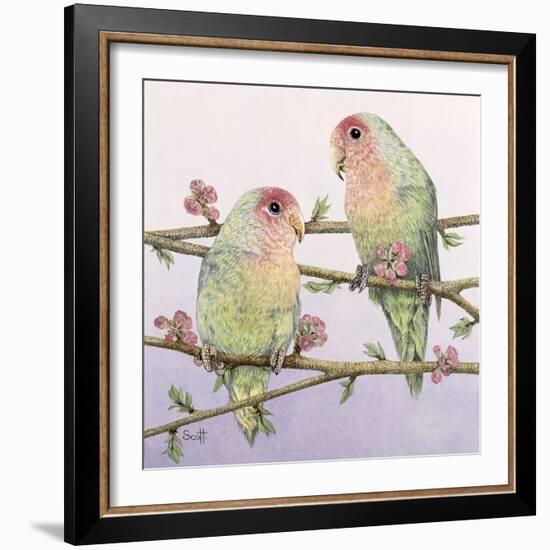 Love Birds-Pat Scott-Framed Giclee Print