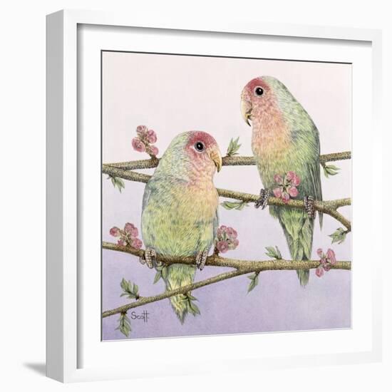 Love Birds-Pat Scott-Framed Giclee Print