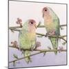 Love Birds-Pat Scott-Mounted Giclee Print