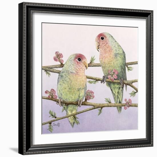 Love Birds-Pat Scott-Framed Giclee Print