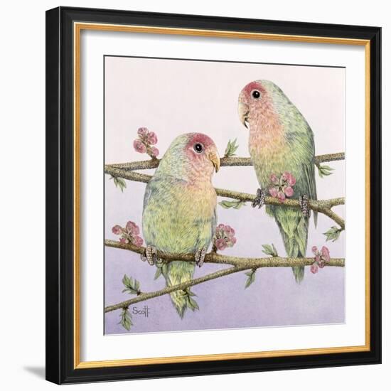 Love Birds-Pat Scott-Framed Giclee Print