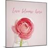 Love Blooms Here-Susannah Tucker-Mounted Art Print