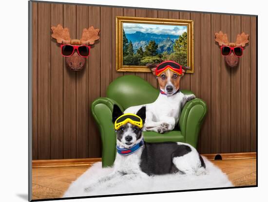 Love Couple Sofa Dogs-Javier Brosch-Mounted Photographic Print