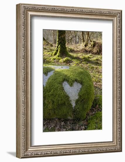 Love Heart Shape in Moss on Granite Bolder, United Kingdom, Europe-Gary Cook-Framed Photographic Print