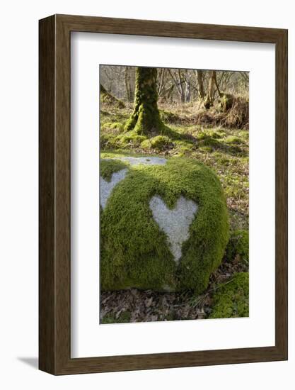 Love Heart Shape in Moss on Granite Bolder, United Kingdom, Europe-Gary Cook-Framed Photographic Print