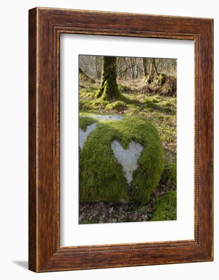 Love Heart Shape in Moss on Granite Bolder, United Kingdom, Europe-Gary Cook-Framed Photographic Print