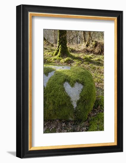 Love Heart Shape in Moss on Granite Bolder, United Kingdom, Europe-Gary Cook-Framed Photographic Print