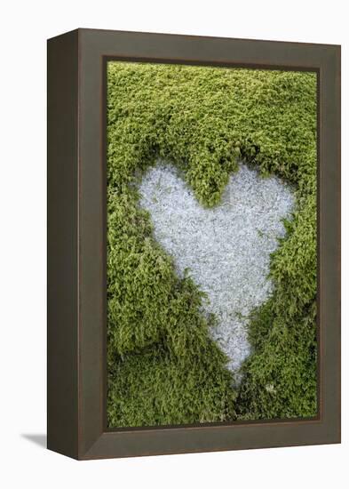 Love Heart Shape in Moss on Granite Bolder-Gary Cook-Framed Premier Image Canvas