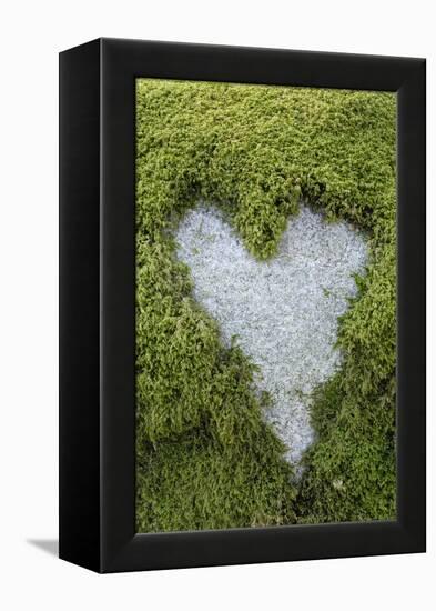 Love Heart Shape in Moss on Granite Bolder-Gary Cook-Framed Premier Image Canvas