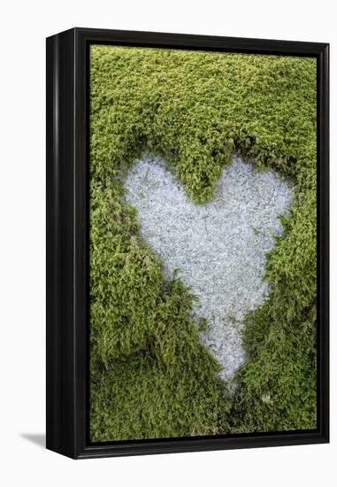 Love Heart Shape in Moss on Granite Bolder-Gary Cook-Framed Premier Image Canvas