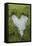 Love Heart Shape in Moss on Granite Bolder-Gary Cook-Framed Premier Image Canvas