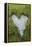 Love Heart Shape in Moss on Granite Bolder-Gary Cook-Framed Premier Image Canvas