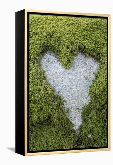 Love Heart Shape in Moss on Granite Bolder-Gary Cook-Framed Premier Image Canvas