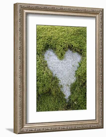 Love Heart Shape in Moss on Granite Bolder-Gary Cook-Framed Photographic Print