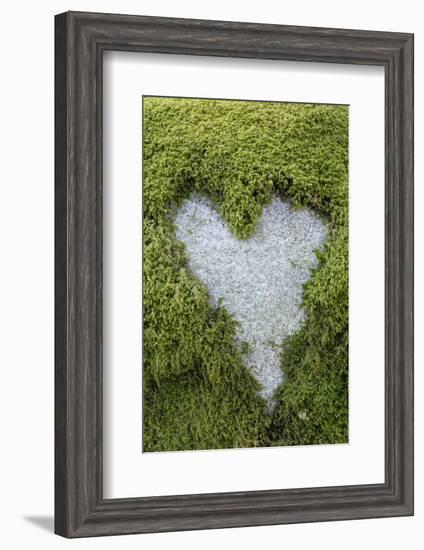 Love Heart Shape in Moss on Granite Bolder-Gary Cook-Framed Photographic Print