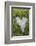 Love Heart Shape in Moss on Granite Bolder-Gary Cook-Framed Photographic Print