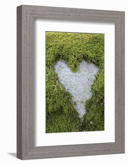 Love Heart Shape in Moss on Granite Bolder-Gary Cook-Framed Photographic Print