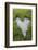 Love Heart Shape in Moss on Granite Bolder-Gary Cook-Framed Photographic Print