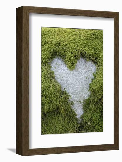 Love Heart Shape in Moss on Granite Bolder-Gary Cook-Framed Photographic Print