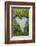 Love Heart Shape in Moss on Granite Bolder-Gary Cook-Framed Photographic Print