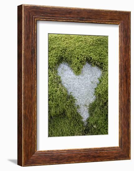 Love Heart Shape in Moss on Granite Bolder-Gary Cook-Framed Photographic Print