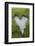 Love Heart Shape in Moss on Granite Bolder-Gary Cook-Framed Photographic Print